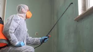 Bayard, NM Mold Removal & Remediation Company